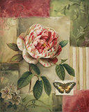 Rose and Butterfly Poster par Lisa Audit