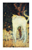 Le chat blanc Reproduction procédé giclée par Pierre Bonnard