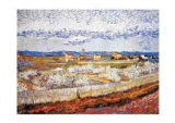 Peach Blossoms in the Crau, c.1889 Prints by Vincent van Gogh