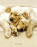 Snooze Poster von Keith Kimberlin