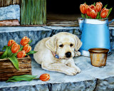 Porch Puppies I Prints by Jane Maday