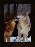 Intermède boréal, Canada Affiches par Art Wolfe