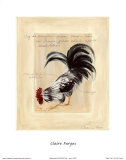 Major Grey II Prints by Claire Pavlik Purgus Major Grey II Prints by Claire Pavlik Purgus