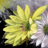 Flor Amarilla Prints by Celeste 