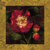 Red Camellias I Prints by John Seba