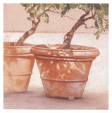 Terra Cotta II Prints by Pascal Amblard