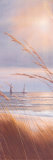 Sailboat Breezeway Panel II Stampe di Diane Romanello Sailboat Breezeway Panel II Stampe di Diane Romanello