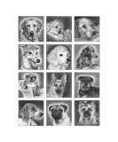 Multidog Giclee Print by Evelyn Morris Hecht