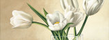 Vaso con Tulipani Bianchi Kunstdrucke von Eva Barberini
