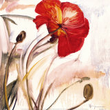 Crimson Poppy I Posters by Marysia 