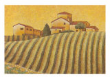 The Colours of Provence IV Posters par M. Picard