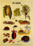 Le Cacao Posters