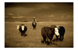 Cowboy Face Off Giclee Print by Jim Tunell
