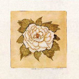 White Peony Print by Mary Hughes
