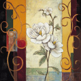 Magnolia Prints by Jill Deveraux