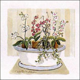 Orchid Tub Poster by Charlene Winter Olson
