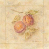 Pastel Plums Print by Valerie Wenk