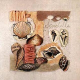 Conchas Póster por Susan Zulauf