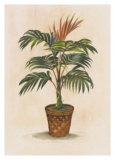 St. Lucia Posters por Peggy Abrams St. Lucia Posters por Peggy Abrams