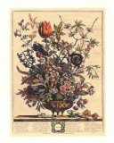 February Posters by Robert Furber