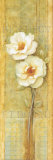 Quiet Flowers IV Prints by Herve Libaud