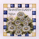 Shasta Daisy Posters by Joy Marie Heimsoth