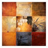 Orchid Nine Patch Poster van Don Li-Leger Orchid Nine Patch Poster van Don Li-Leger