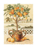 Evening Mood, Too Print by Franz Heigl