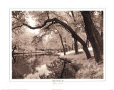 Daydream Prints by Mike Jones