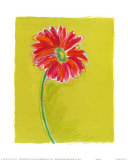 Marguerite Art par Susan Zulauf