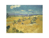 The Wheat Field, c.1888 Posters by Vincent van Gogh