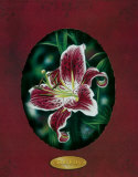 Red Lilies III Art by Darryl Vlasak
