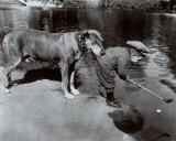 Retrieving The Ball Obrazy Retrieving The Ball Obrazy