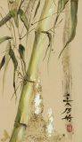 Oriental Junco V Prints by Paz 