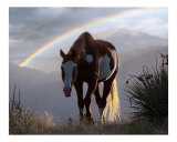 Evening Promise Giclee Print by Bill Stephens