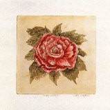 Ruby Peony Poster by Mary Hughes