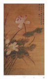 Lotus Flowers Poster by Mei Feng