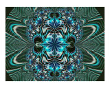 Eight Petals Photographic Print by Vicky Brago-Mitchell