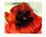 Poppy Poster van Georgia O'Keeffe