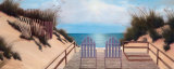 Blue Skies Panel Arte por Diane Romanello