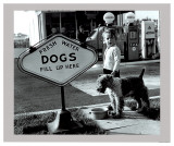 Station canine Affiches