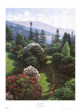 Long Lake Trail Art by Henry Peeters