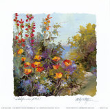 Composición con flores silvestres Láminas por Alix Stefan