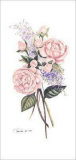 Rose Botanical 1 Print by Consuelo Gamboa