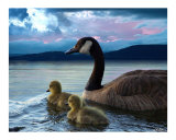 Canadian Babes Giclee Print by Bill Stephens