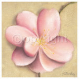 Apple Blossom IV Posters par Caroline Wenig