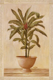 Potted Palm I Poster by Welby 