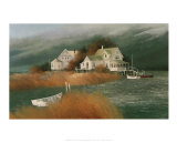 Osprey Point Poster par Albert Swayhoover
