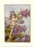 El hada de los farolillos Láminas por Cicely Mary Barker El hada de los farolillos Láminas por Cicely Mary Barker