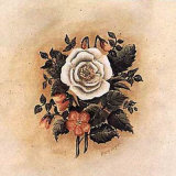 Antique Rose I Posters by Mary Hughes